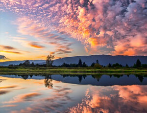 霍芬海姆取得双杀，稳固保级位置